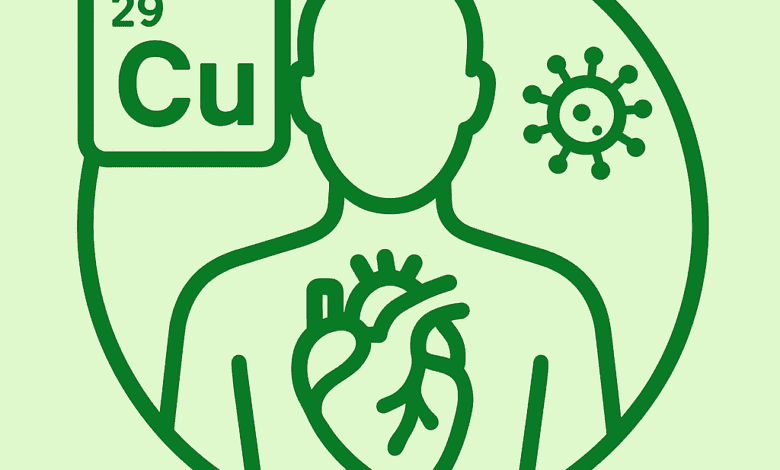 النحاس في جسم الإنسان